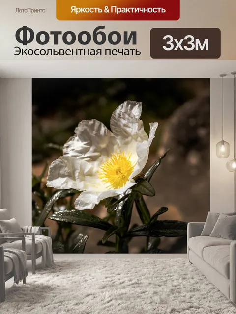 Фотообои Цветок