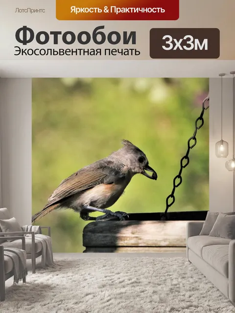 Фотообои Хохлатая синица с семенами