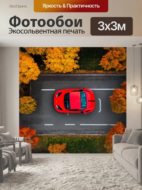 Фотообои вид сверху на спортивную машину в окружении осенних деревьев
