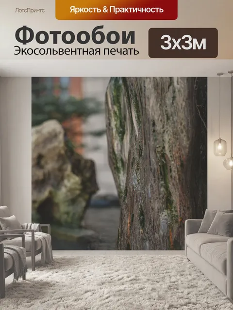 Фотообои Рыбы