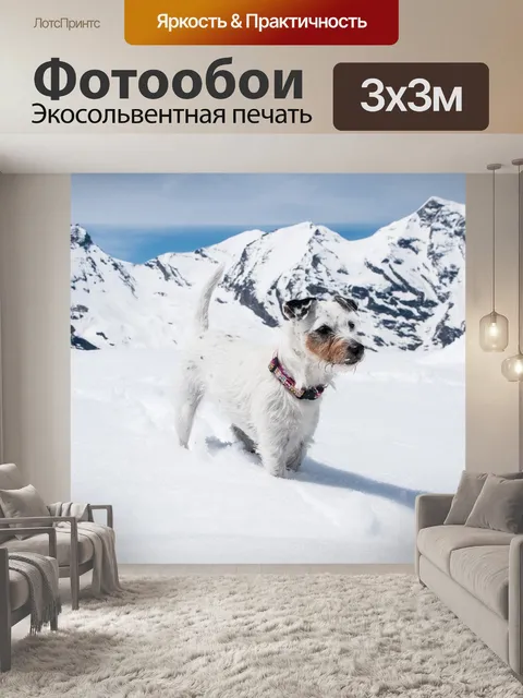 Фотообои Собака