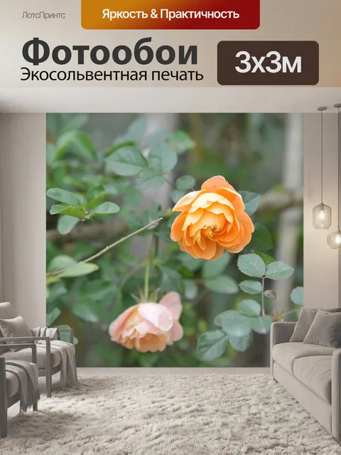 Фотообои Цветы