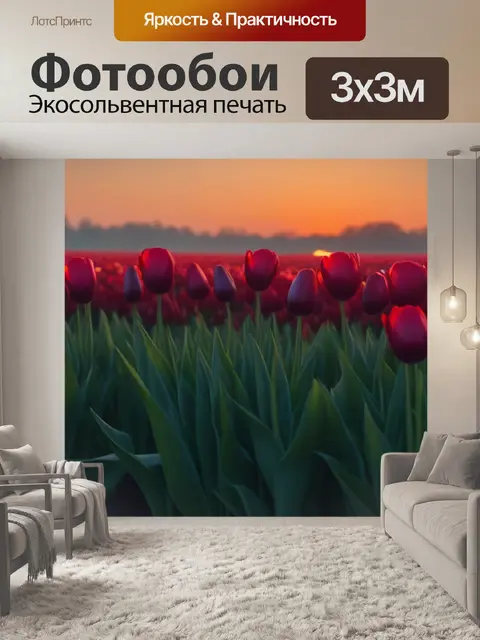 Фотообои тюльпаны на рассвете