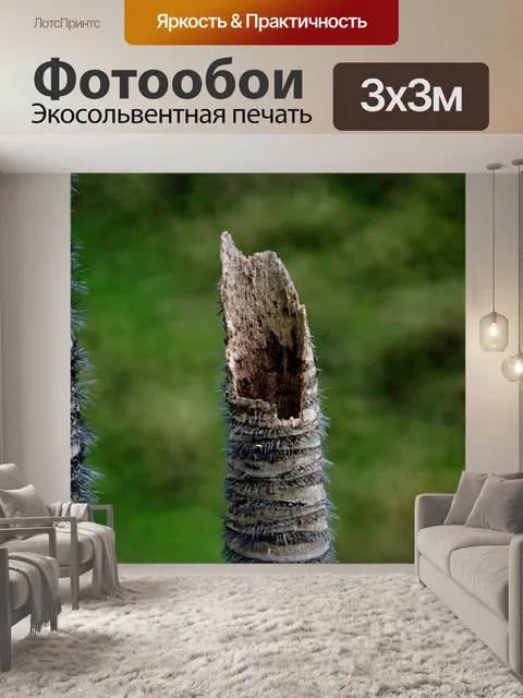 Фотообои Природа