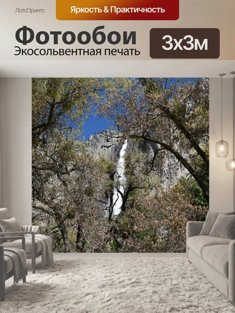 Фотообои Йосемитский водопад, вид из деревьев