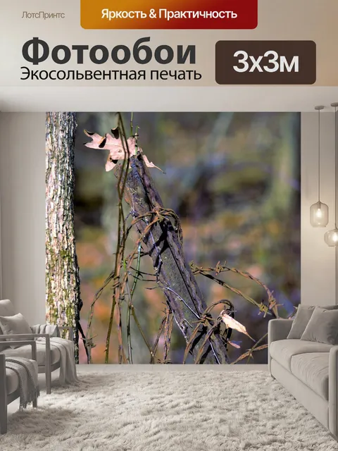 Фотообои Осень