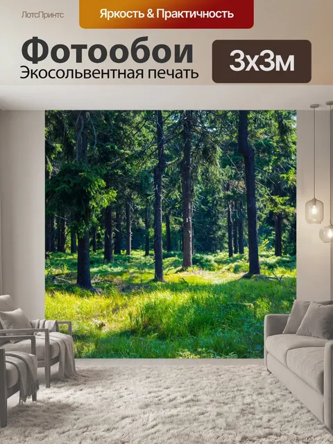 Фотообои лес