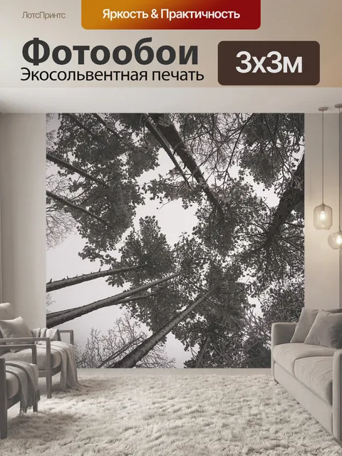 Фотообои Лес