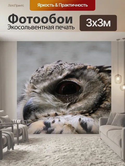Фотообои Птица