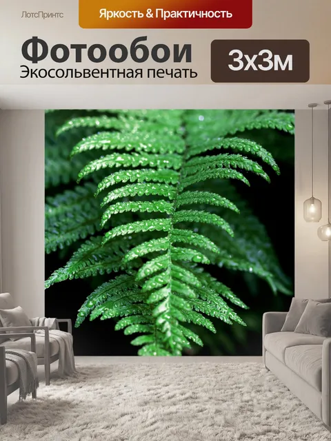 Фотообои Папоротник лист папоротника растение фот