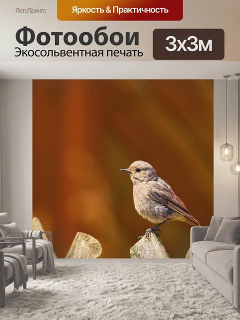 Фотообои Воробей