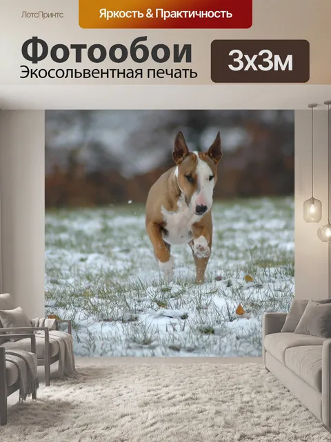Фотообои Животное