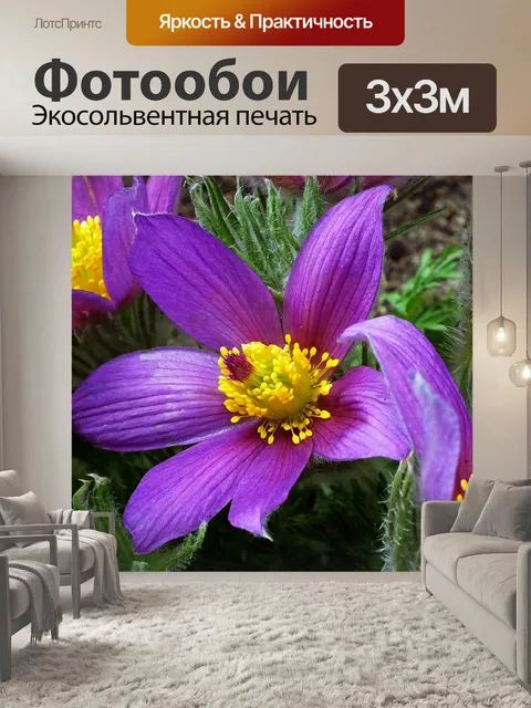 Фотообои Цветы