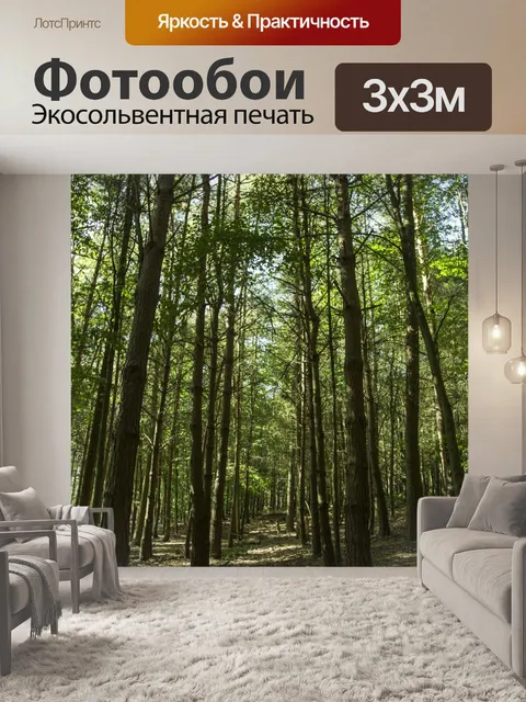 Фотообои лес