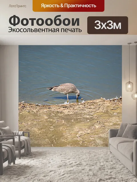 Фотообои Птицы