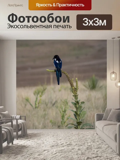 Фотообои черная сорока