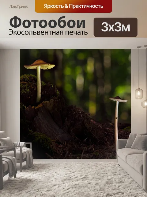 Фотообои Грибы