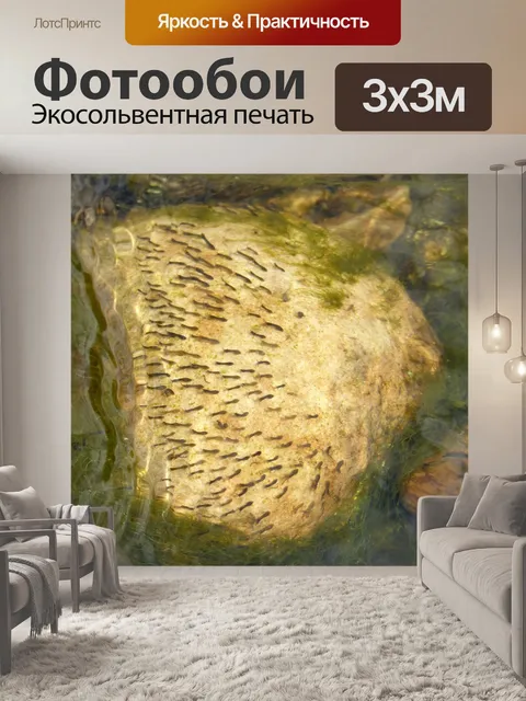 Фотообои Личинка