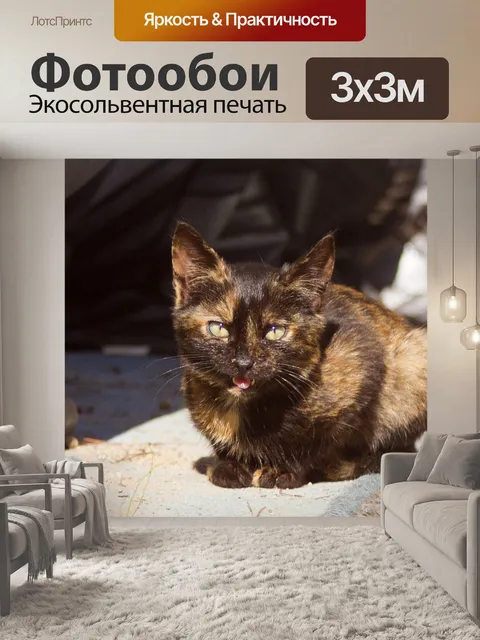 Фотообои Кошка