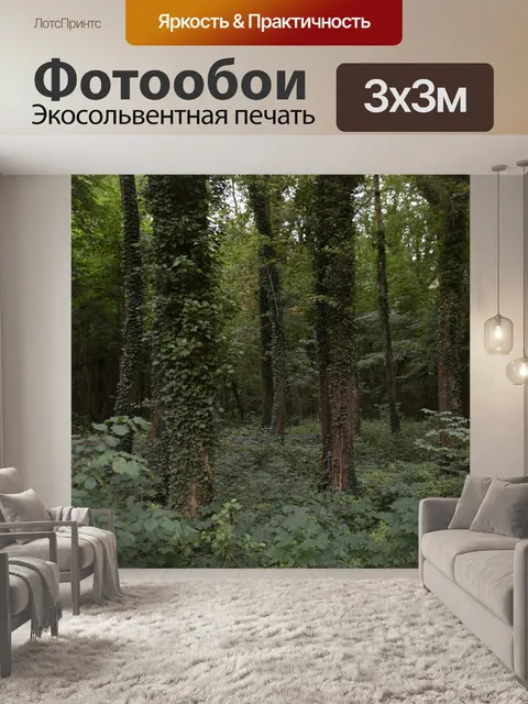 Фотообои Лес