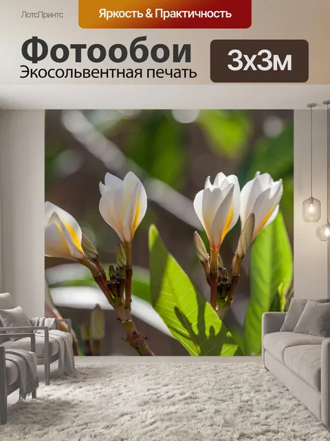 Фотообои Frangipanni цветы