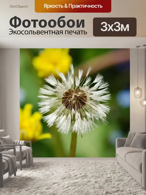 Фотообои Одуванчик
