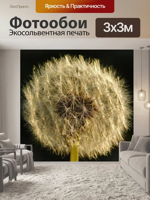 Фотообои Одуванчик
