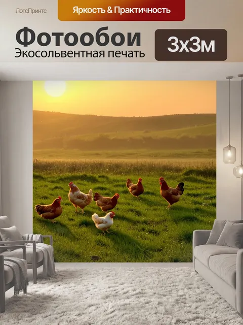 Фотообои На закате солнца группа куриц гуляет по зелёному полю