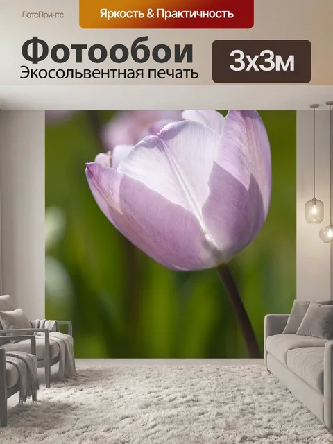 Фотообои Розовый