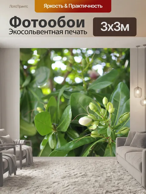 Фотообои Цветы листья
