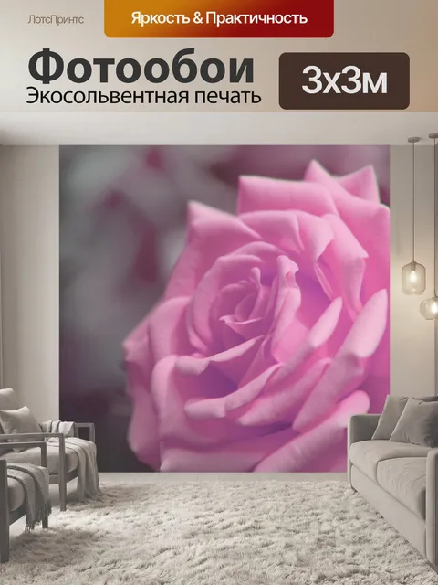 Фотообои Фотография цветка розы