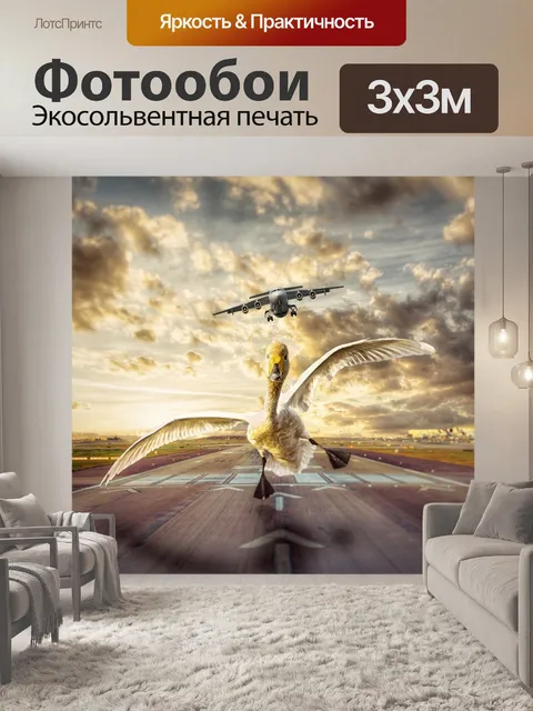 Фотообои Лебедь