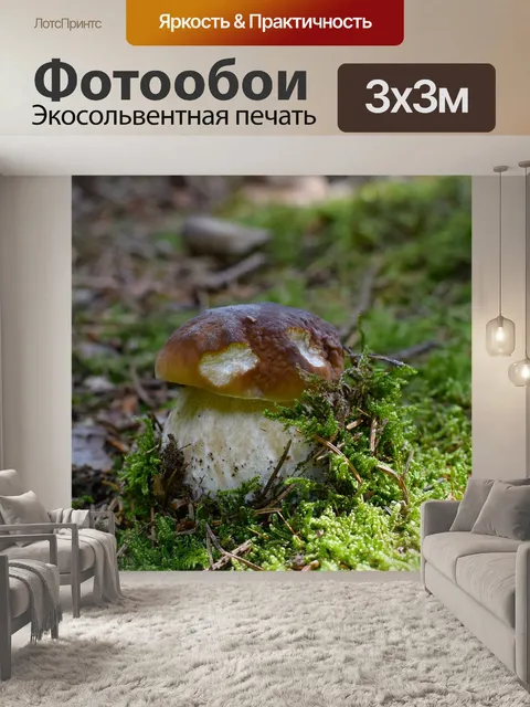 Фотообои Гриб
