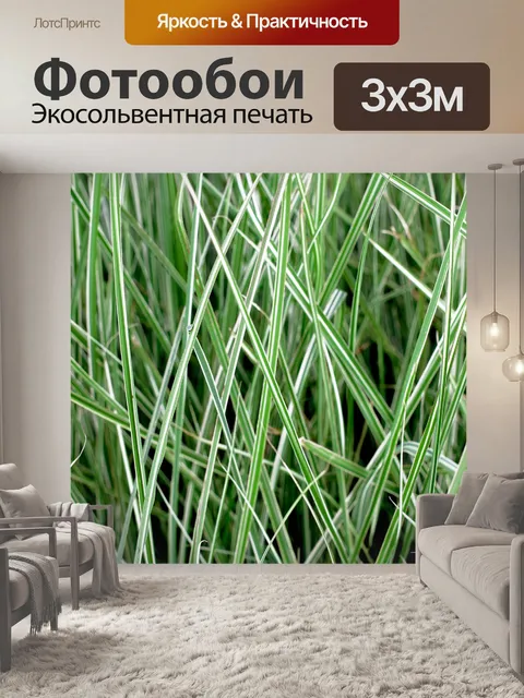 Фотообои Абстрактный фон травы