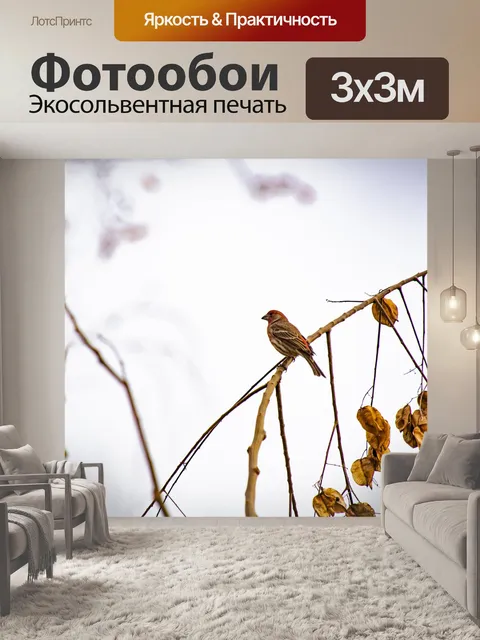 Фотообои Красный щегол сидел