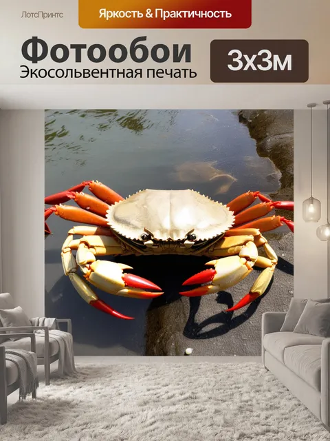 Фотообои на поверхности