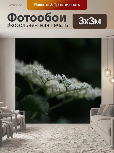 Фотообои Белый