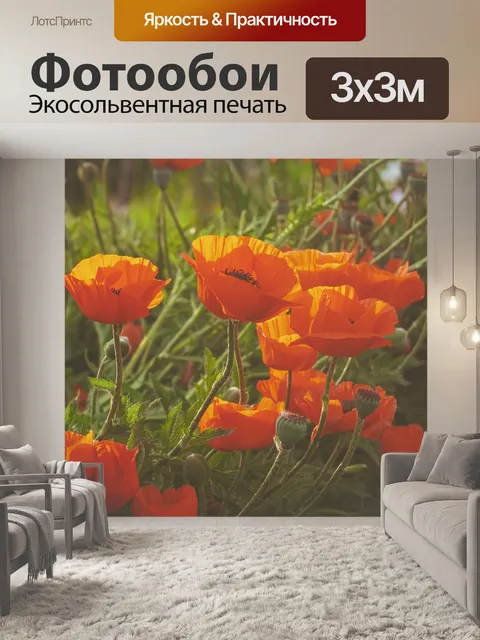 Фотообои Луг