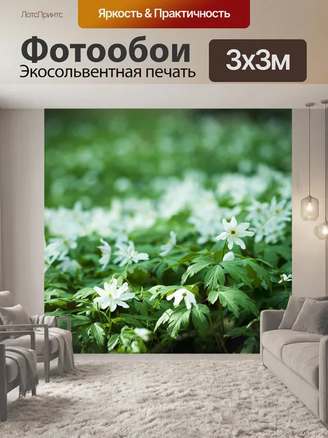 Фотообои Цветы