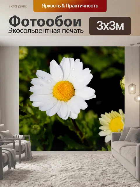 Фотообои Цветы