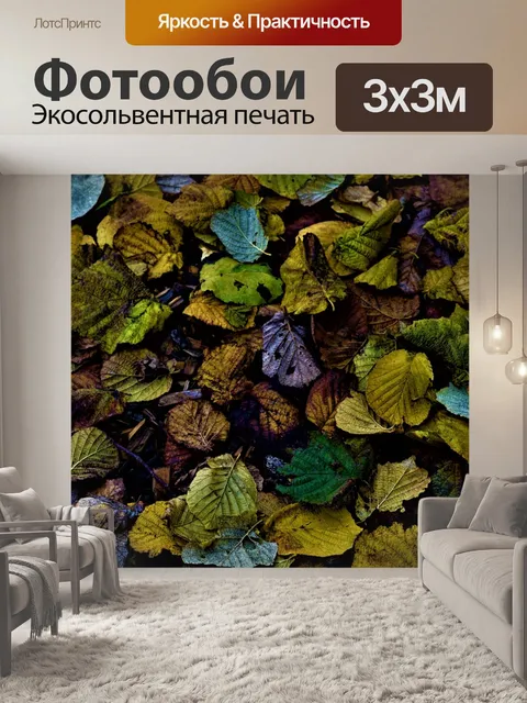 Фотообои Задний план