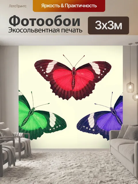 Фотообои Бабочки старинные картины