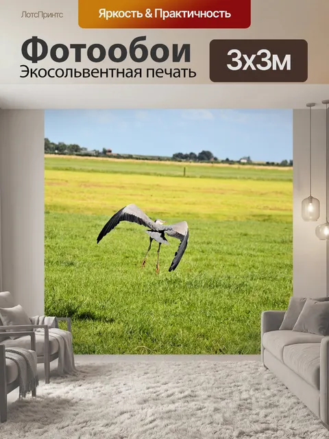 Фотообои Цапля