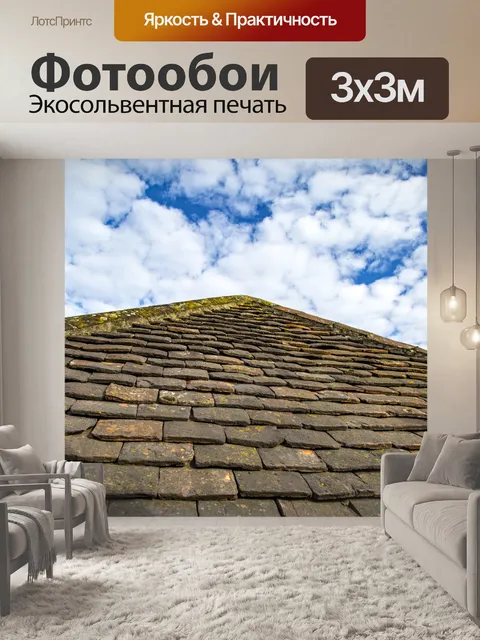 Фотообои крыша
