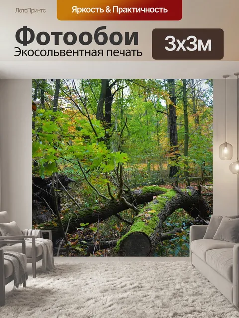 Фотообои Лес