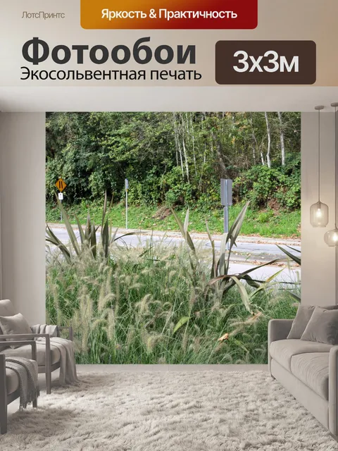 Фотообои высокая трава
