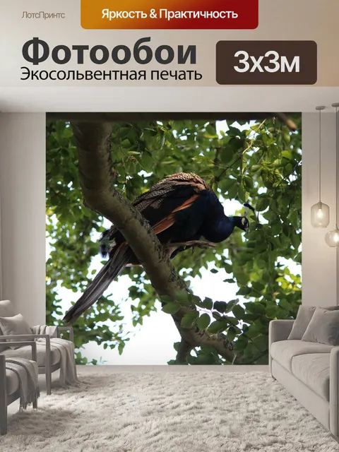 Фотообои Павлин
