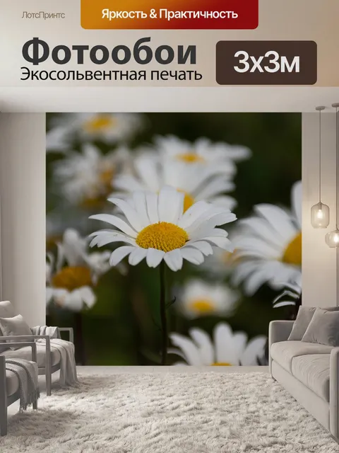 Фотообои Маргаритки