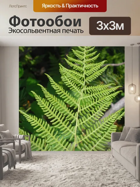 Фотообои Лист