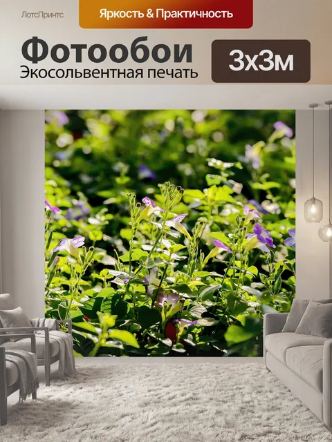 Фотообои Цветы